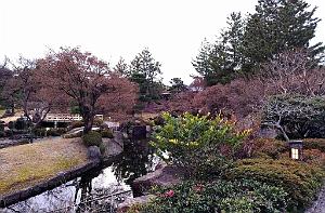 NAGOYA - Parc Tokugawa - 10.01.2024 - 25